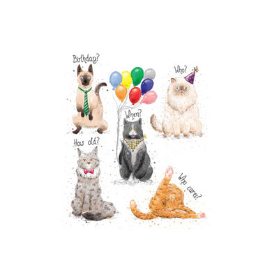 Cats Mini Birthday Card
