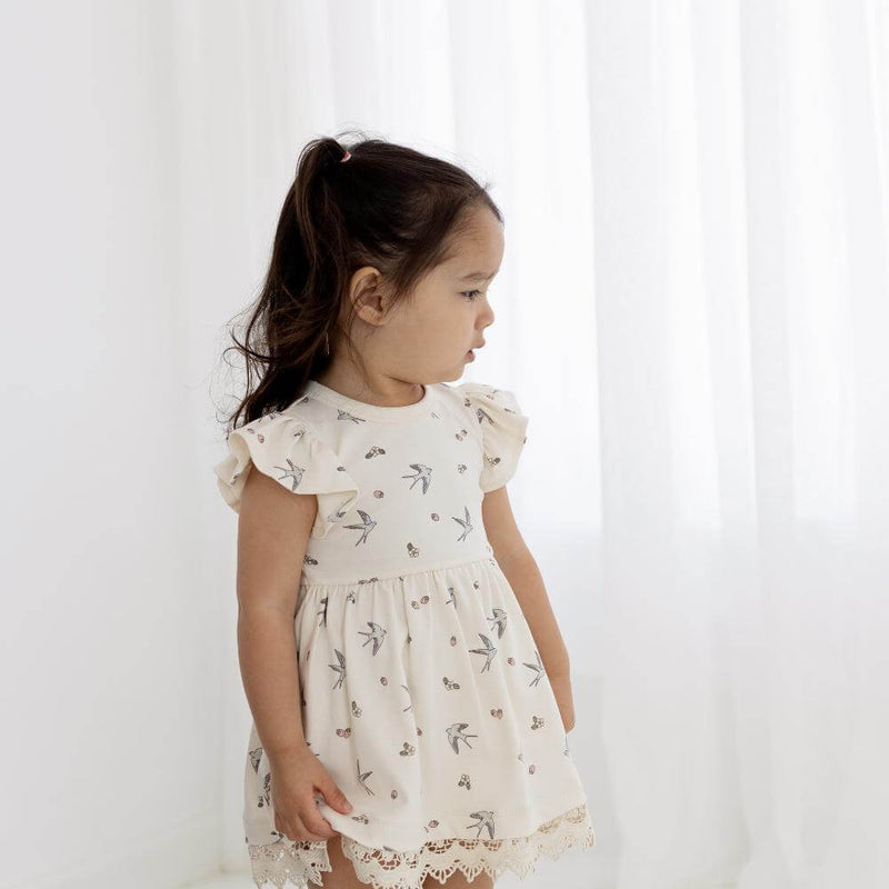 Aster & Oak Swallow Lace Ruffle Dress-Baby Gifts-Baby Clothes-Toys-Mornington-Balnarring-Kids Books