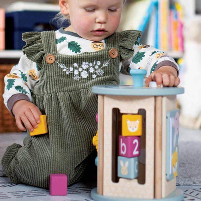 Baby Gifts & Toys-Mornington-Balnarring-Bigjigs Toys Rolling Activity Sorter-The Enchanted Child