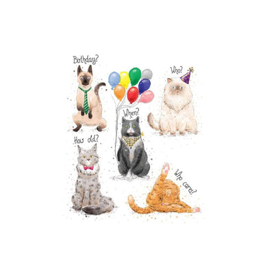 Mini Card - Birthday Cats-Baby Gifts-Toys-Mornington Peninsula