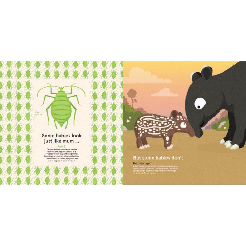 Wild About Babies: Philip Bunting-Baby Gifts-Baby Clothes-Toys-Mornington-Balnarring-Kids Books