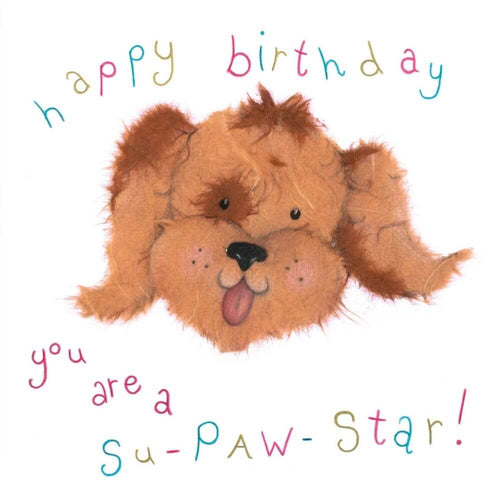 You Are a Super-Paw Star Birthday Card
