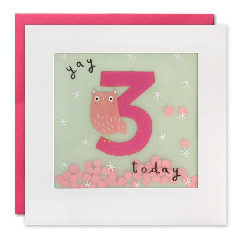 Age 3 Owl Paper Shakies Birthday Card