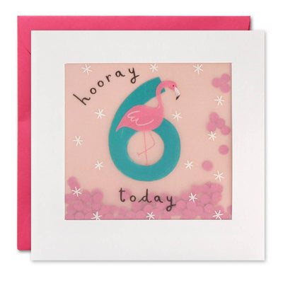 Age 6 Flamingo Paper Shakies Birthday Card