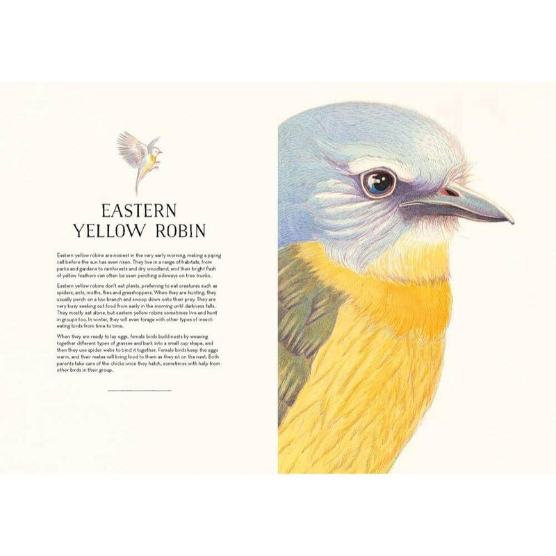 Australian Birds-The Enchanted Child
