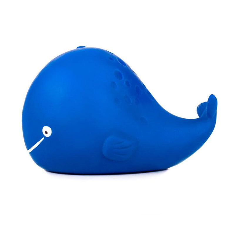 CaaOcho Kala Blue Whale