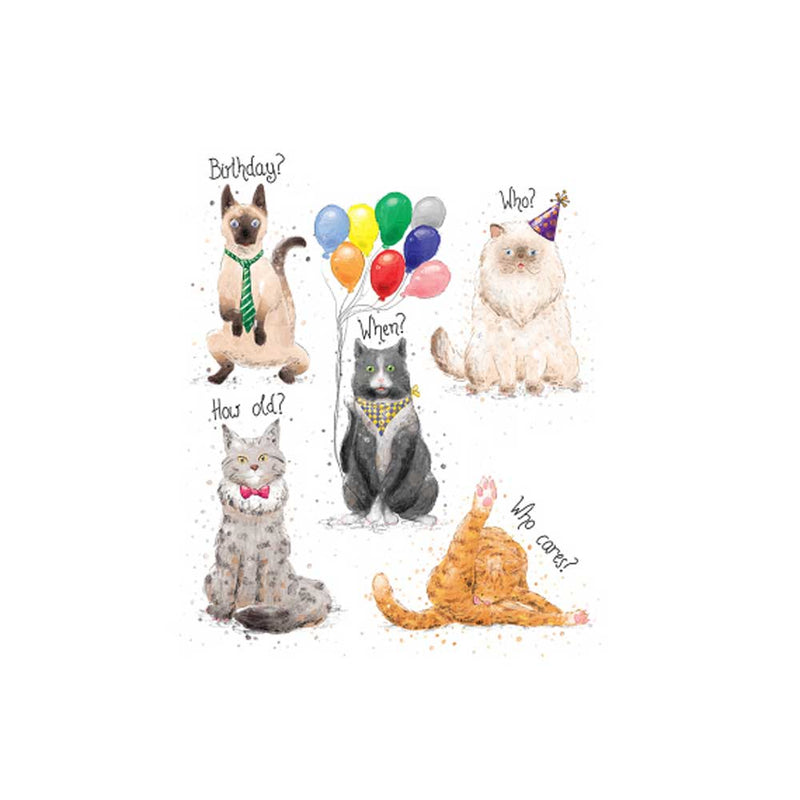 Cats Mini Birthday Card