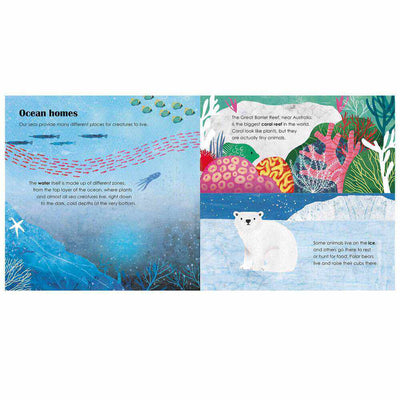 Seas: A Lift-the-Flap Eco Book