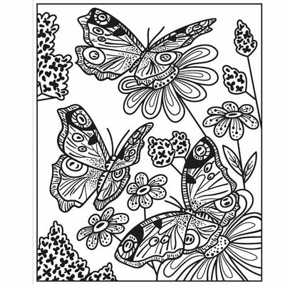 Usborne Butterflies Magic Painting