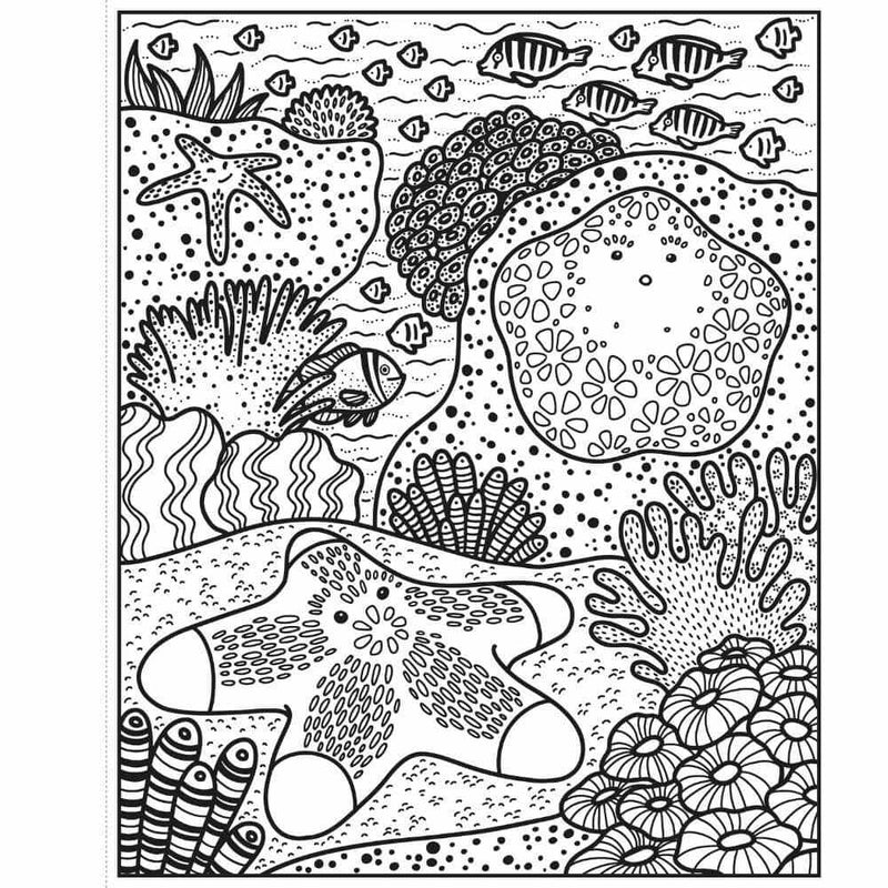 Usborne Coral Reef Magic Painting