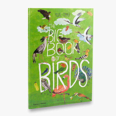 Big Book of Birds