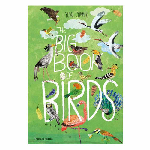 Big Book of Birds