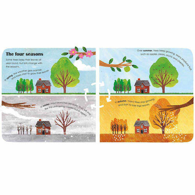 Trees: A Lift-the-Flap Eco Book